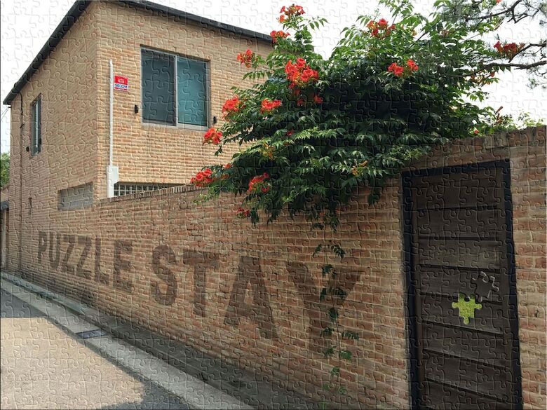 Hostal Puzzlestay House