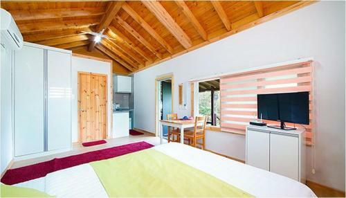 Gotjawal Geomunoreum Pension