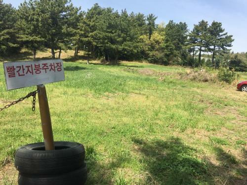 The Jeju Red Roof Pension