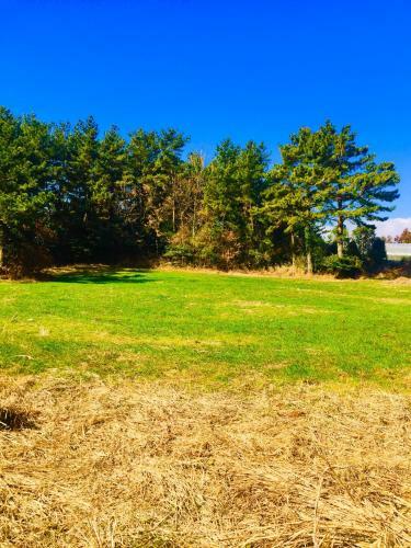 The Jeju Red Roof Pension