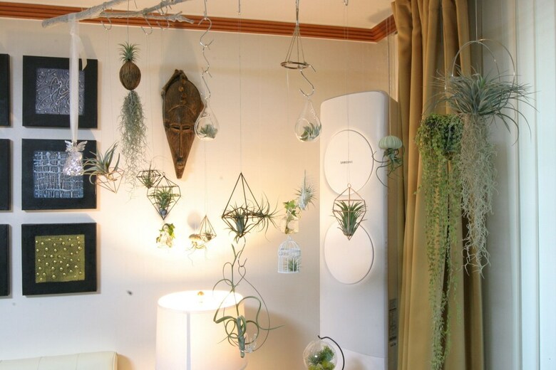 Hostal Refee House