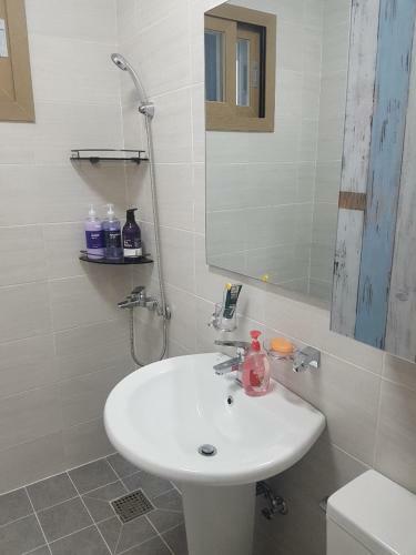 Hostal Jeju Bonaire House