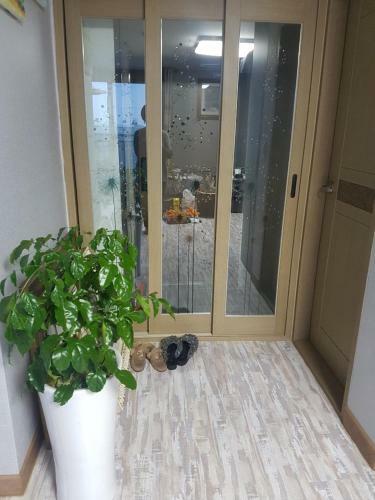 Hostal Jeju Bonaire House