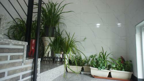 Bed & Breakfast Green Guest House