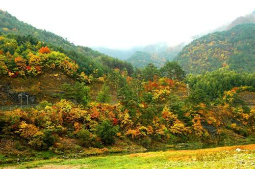 Sechi Pension