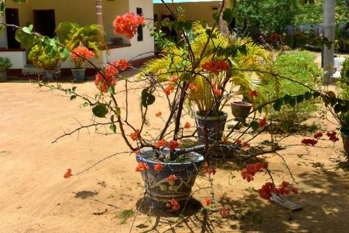 Hostal Yaswi Guest House