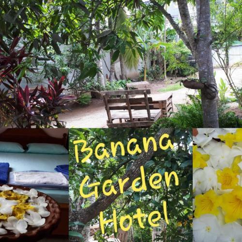 Banana Garden Hotel Madiha