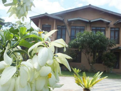 Hostal Hillsview Rest & Guest House