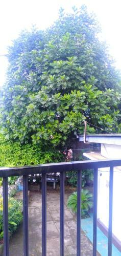 Hostal Resort Sunshine Maskeliya