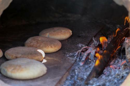 Bed & Breakfast Dar El Mandar - Ferme & Table D'h�te Berb�re