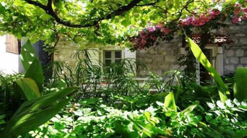 Holiday Home The Old Vine