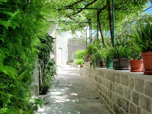 Hostal Guest House Dragutinovic