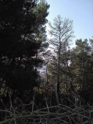 Hostal Guest House Vjetreni Mlin