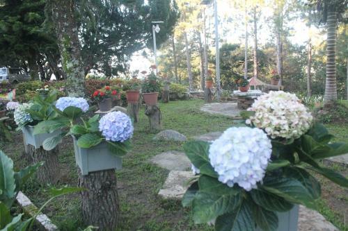 Hotel Jabez Resort Kundasang