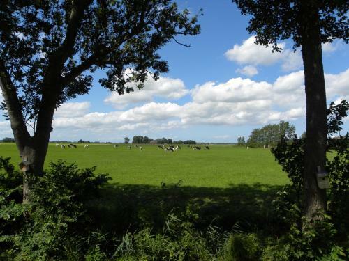 B&B Hoogholtje