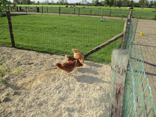 Apartamento de Kleine Boerderij