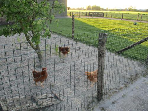 Apartamento de Kleine Boerderij