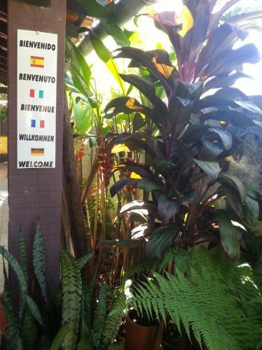 Ita�na Hostel
