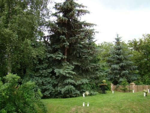 Bed & Breakfast Noclegi Po Drodze