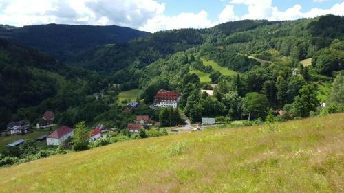 Hotel O?rodek Wypoczynkowy Pod D?bem