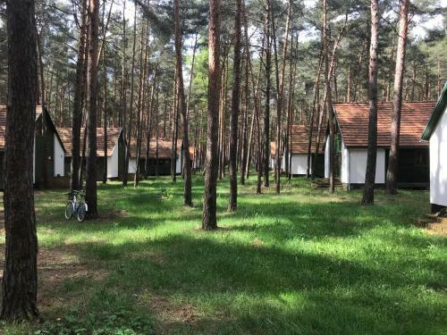 Lodge S?awa Family Resort