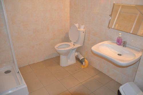 Posada Hotelik Orlik