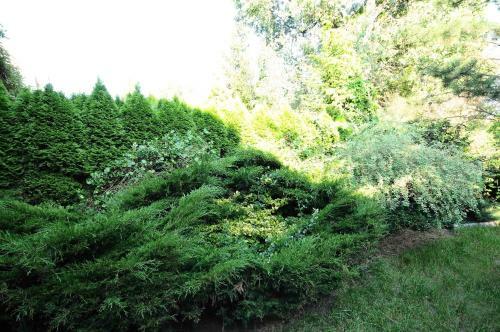 A Place Like Home Apartamenty Wiewiorcza