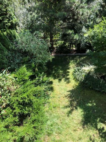 A Place Like Home Apartamenty Wiewiorcza