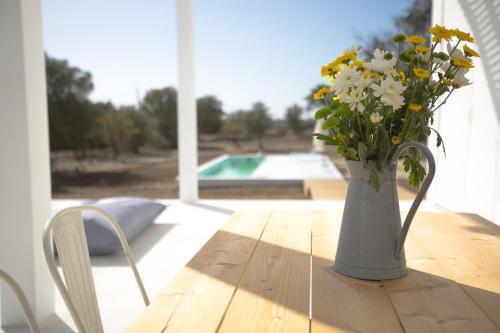 Villa Casa Singular | Concept House
