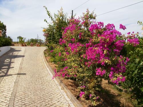 Agroturismo Monte Da Bravura Green Resort
