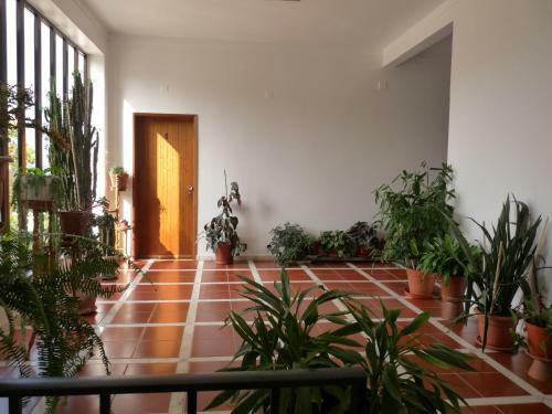 Hostal Residencial O Bras