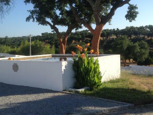 Agroturismo Monte Das Texugueiras