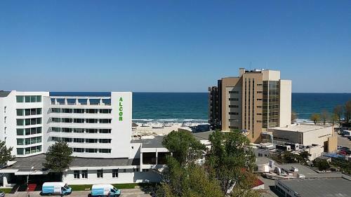 Sophia Sunrise Seaview Mamaia Serviced Apartment