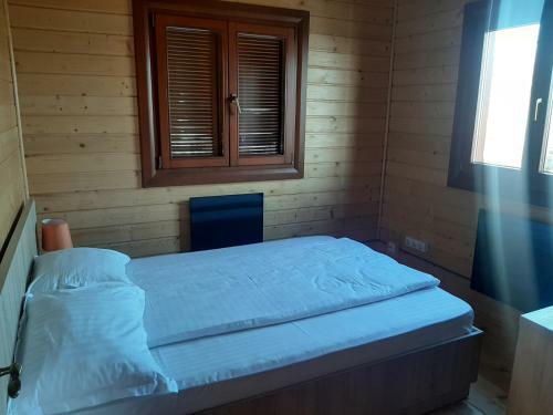 Sat de Vacanta Ciprian Porumbescu