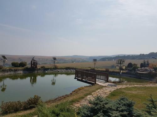 Sat de Vacanta Ciprian Porumbescu