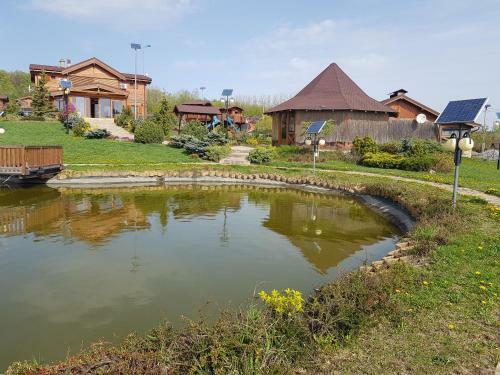 Sat de Vacanta Ciprian Porumbescu