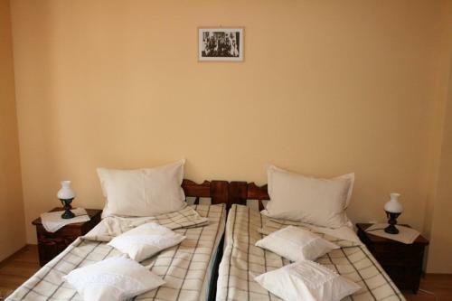 Hostal Pensiunea Tulipan