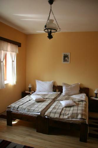 Hostal Pensiunea Tulipan