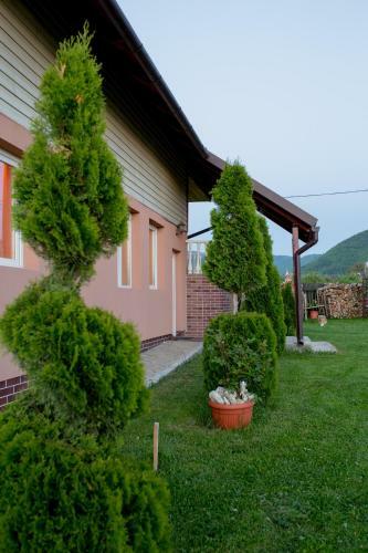 Hostal Casa Neagu