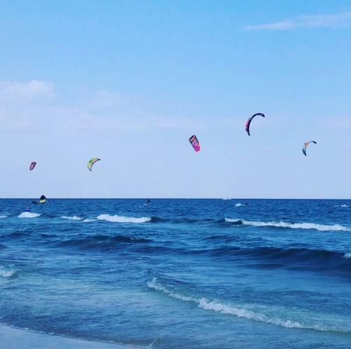 Apartamento Yvo Lioness & Mamaia Nord
