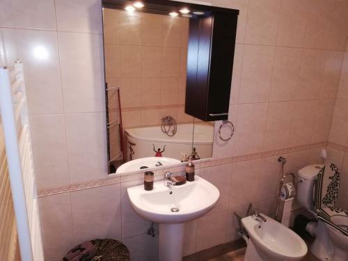 Apartamento Yvo Lioness & Mamaia Nord