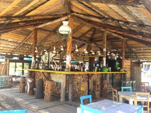 Apartamento Yvo Lioness & Mamaia Nord