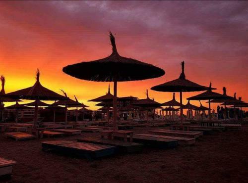 Apartamento Yvo Lioness & Mamaia Nord