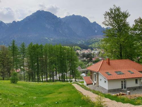 Villa Vila Castel Cantacuzino