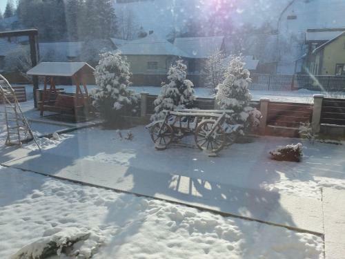 Hostal Pensiunea La Rachitele