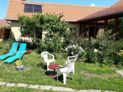 Hostal Pensiunea Ana-dragusana