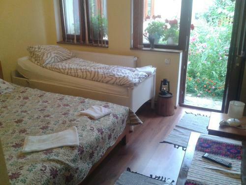 Hostal Pensiunea Ana-dragusana