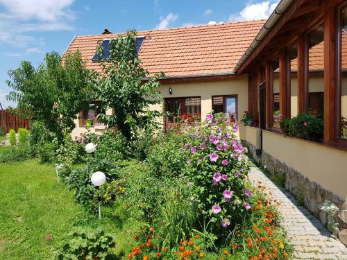 Hostal Pensiunea Ana-dragusana