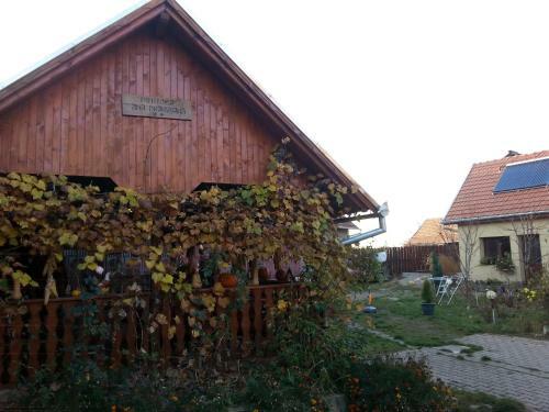 Hostal Pensiunea Ana-dragusana