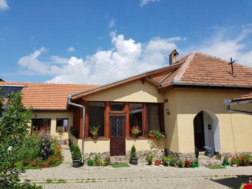 Hostal Pensiunea Ana-dragusana